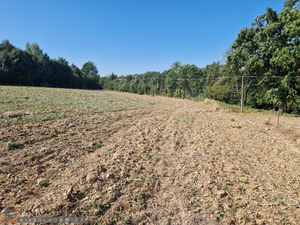 Działka siedliskowa na sprzedaż Narama  7 040m2 Foto 8