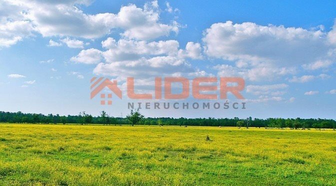 Działka budowlana na sprzedaż Białystok, Skorupy 1 623m2 Foto 1 Działka budowlana na sprzedaż Białystok, Skorupy 1 623m2 Foto 1