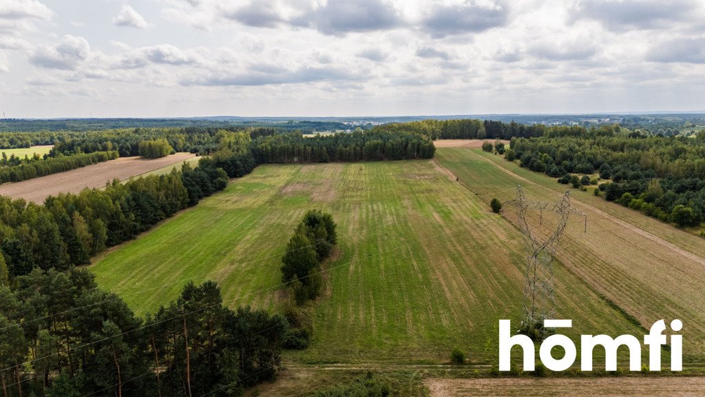 Działka rolna na sprzedaż Zdziechów  45 600m2 Foto 4