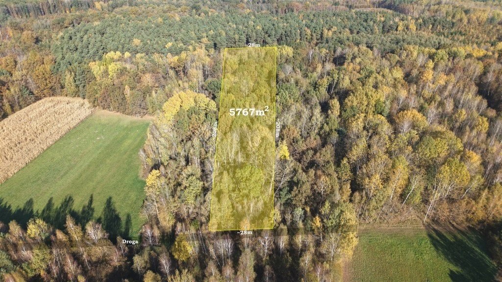 Leśna działka 5767 m² w Strzeszewie - spokój i natura: Strzeszewo