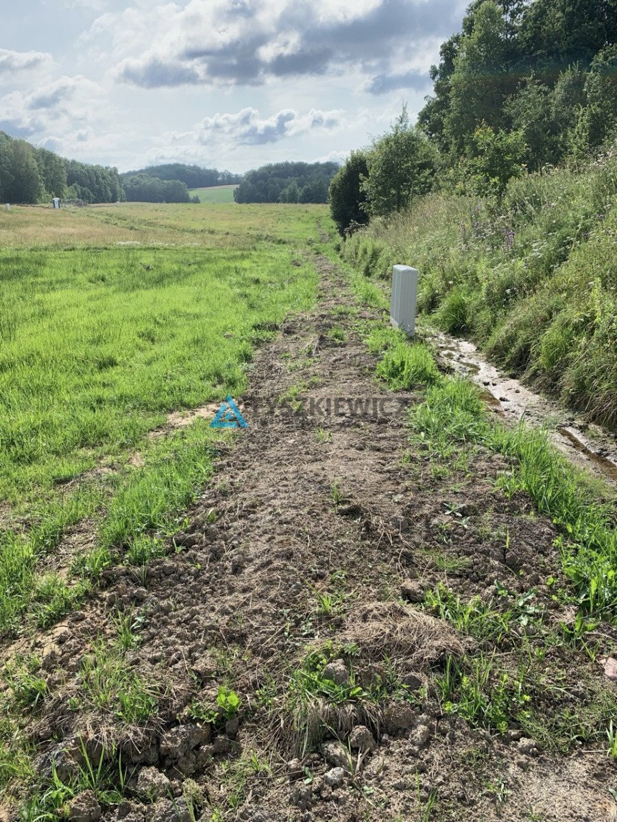 Działka budowlana na sprzedaż Trzepowo, Cystersów  2 995m2 Foto 4