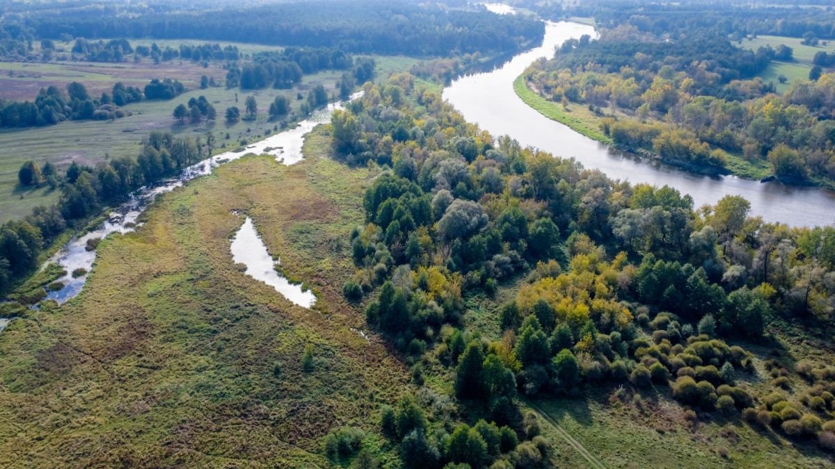 Działka rolna na sprzedaż Michałowo  38 400m2 Foto 2