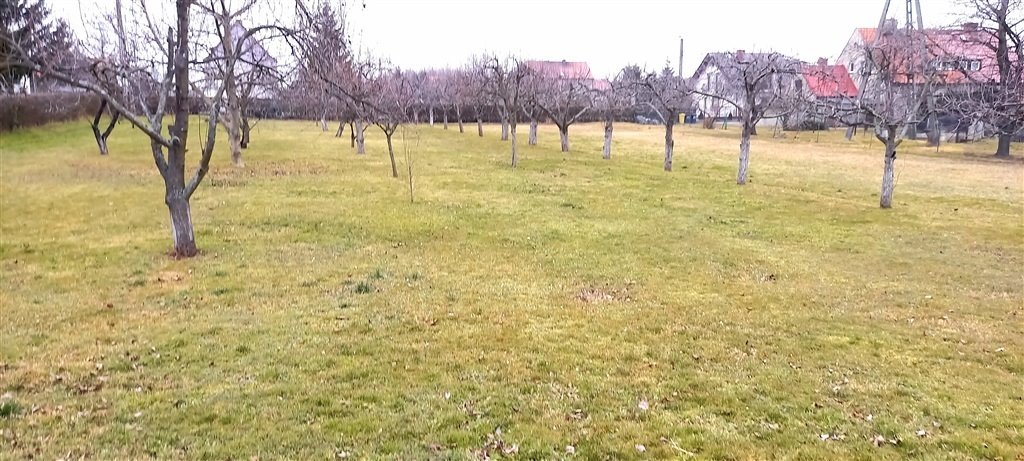 Działka budowlana 2000 m² z wodą, prądem i kanalizacją Kostrza  2 000m2 Foto 1