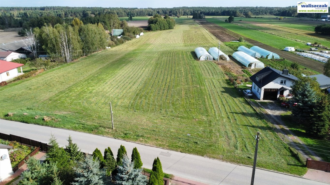 Działka budowlana na sprzedaż Piotrków Trybunalski, Świerczów  2 300m2 Foto 2