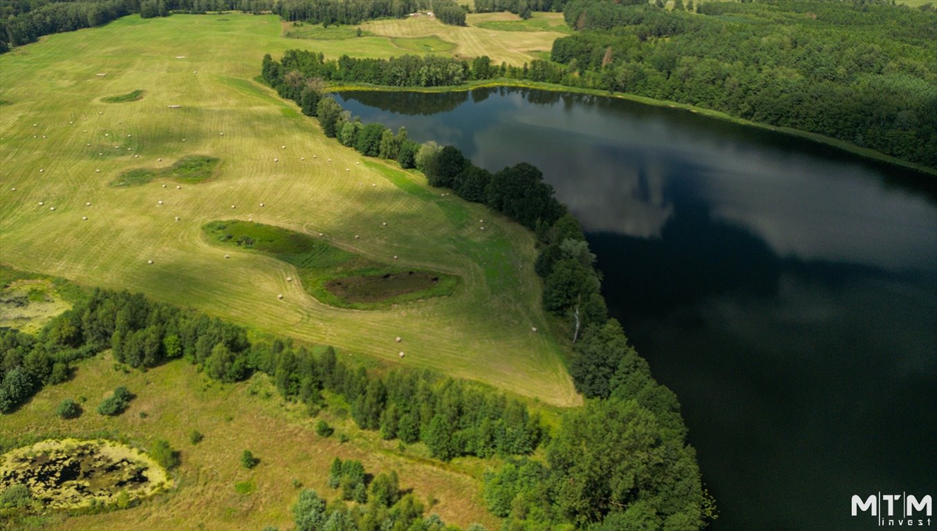 Działka rolna na sprzedaż Dolice  3 003m2 Foto 2