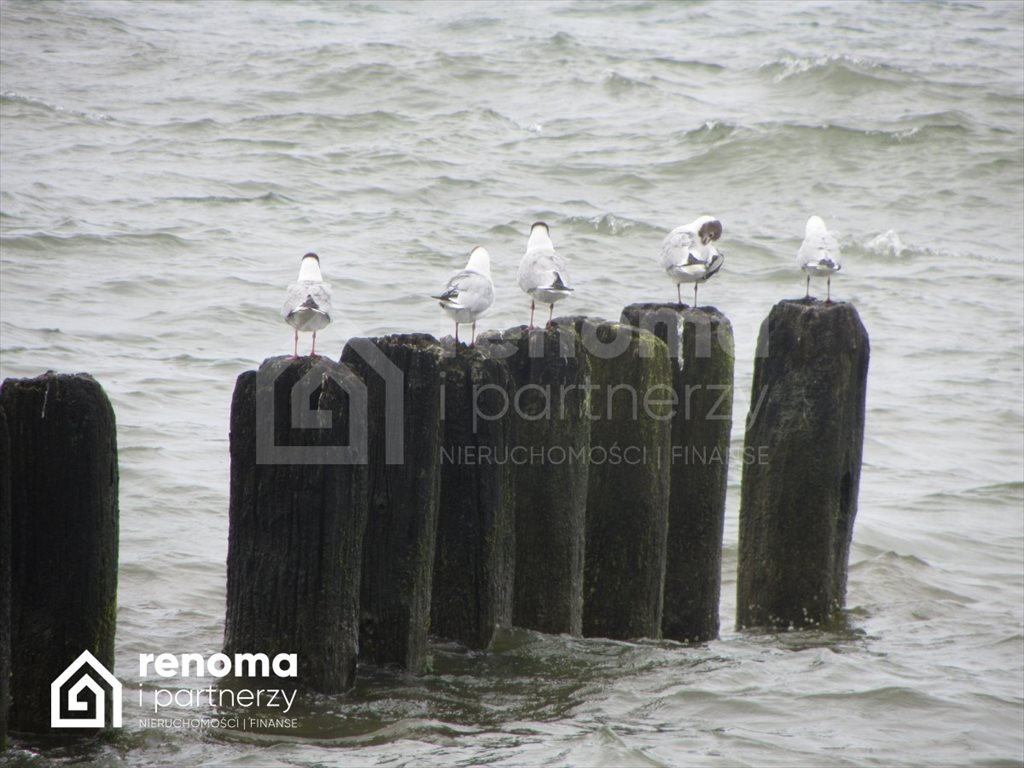 Działka budowlana na sprzedaż Mielno  1 025m2 Foto 8