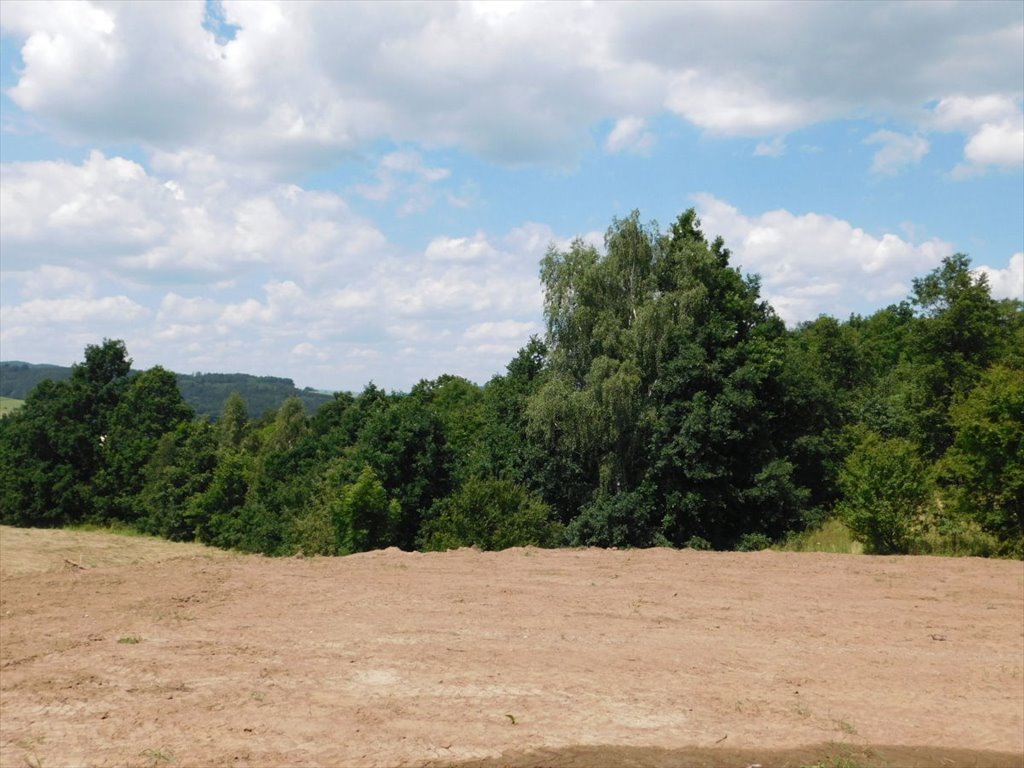Działka budowlana na sprzedaż Boguszyn  2 000m2 Foto 4