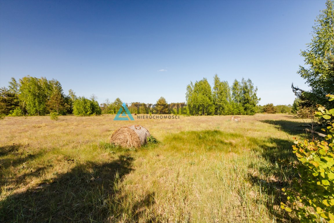 Działka rolna na sprzedaż Leśno  8 955m2 Foto 8