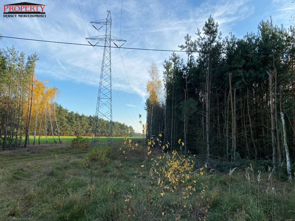 Działka leśna na sprzedaż Barłogi, BARŁOGI  11 400m2 Foto 9