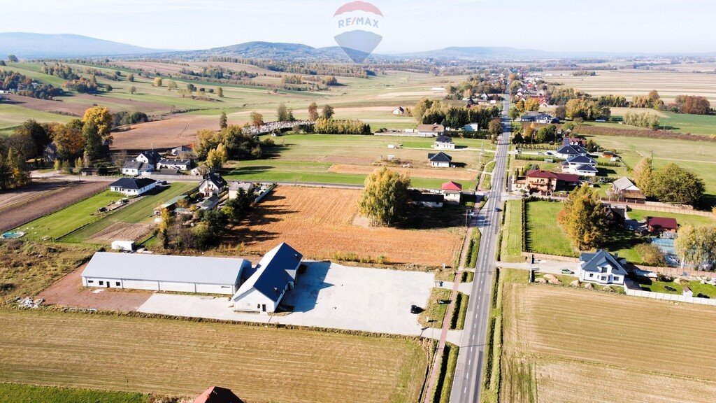 Lokal użytkowy na sprzedaż Tarczek  1 374m2 Foto 4