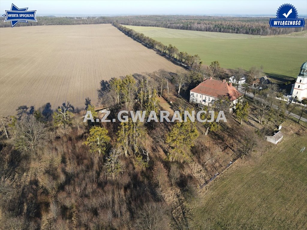 Dom na sprzedaż Biskupice  1 200m2 Foto 4