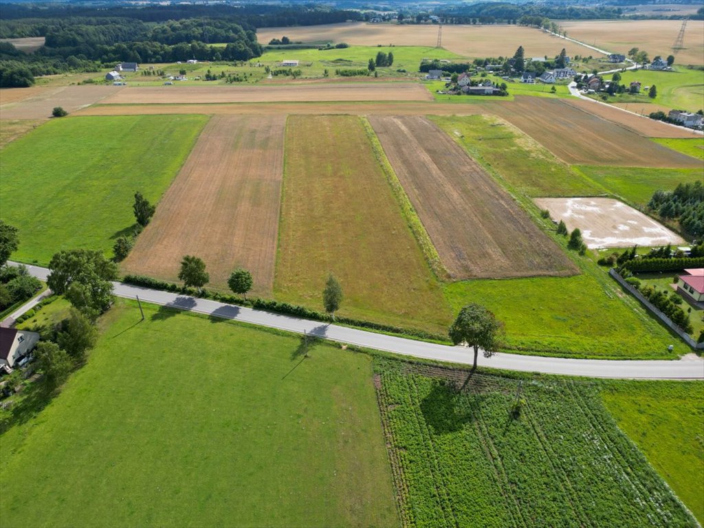 Działka przemysłowo-handlowa na sprzedaż Tokary, Przodkowska  1 100m2 Foto 3