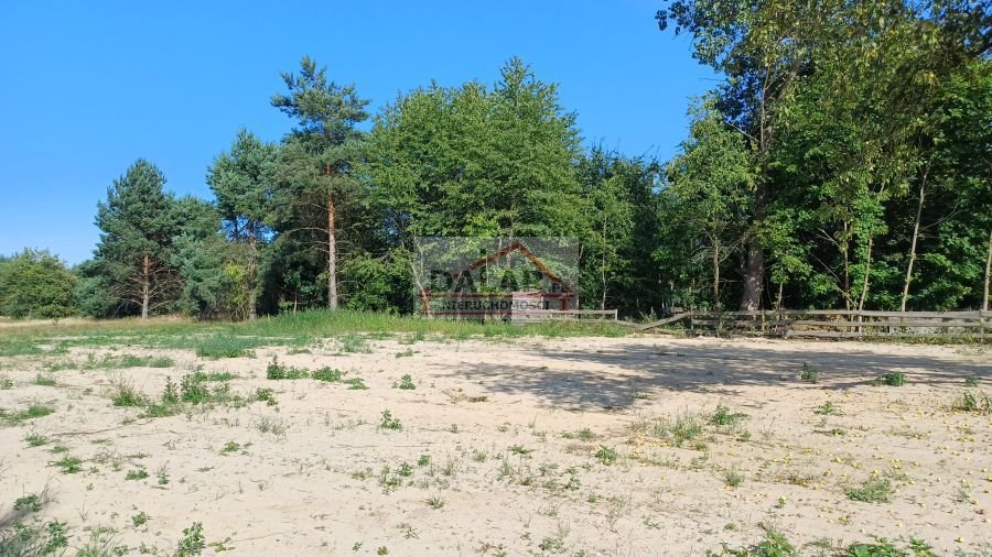 Działka budowlana na sprzedaż Grabów nad Pilicą, Lipinki  1 200m2 Foto 5