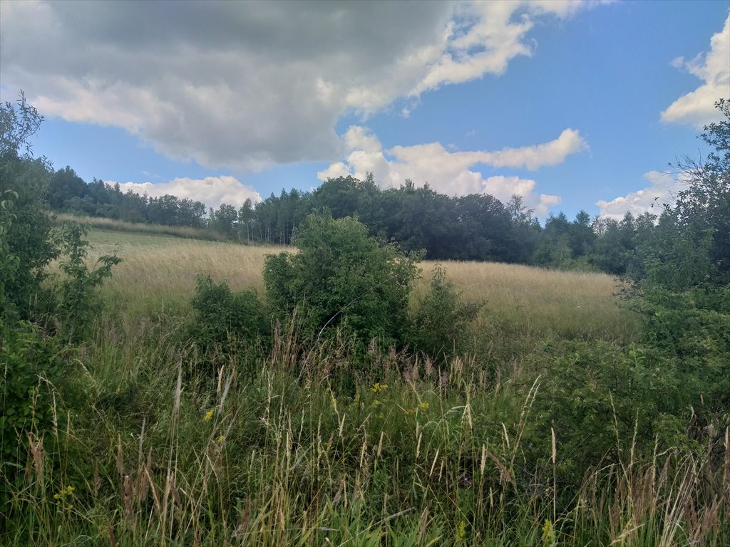 Działka rolna na sprzedaż Makowiska  9 700m2 Foto 2