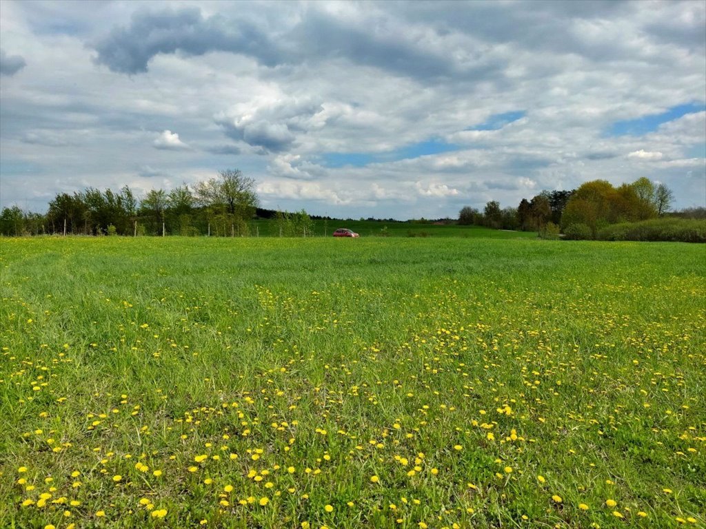 Działka rolna na sprzedaż Jeziorko, Jeziorko  3 018m2 Foto 10