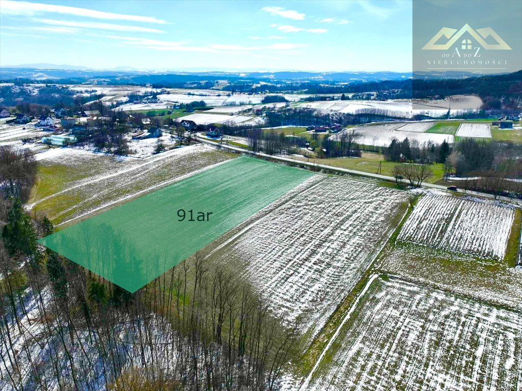Duża działka 91 arów z lasem, pod zabudowę w Lichwinie Lichwin  9 103m2 Foto 1