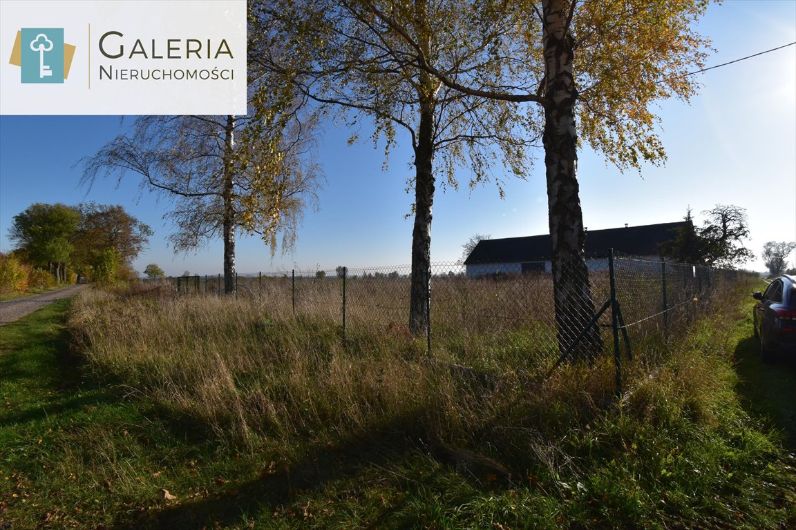 Magazyn 300 m2 z możliwością wynajmu i własnej aranżacji Klecie  300m2 Foto 1