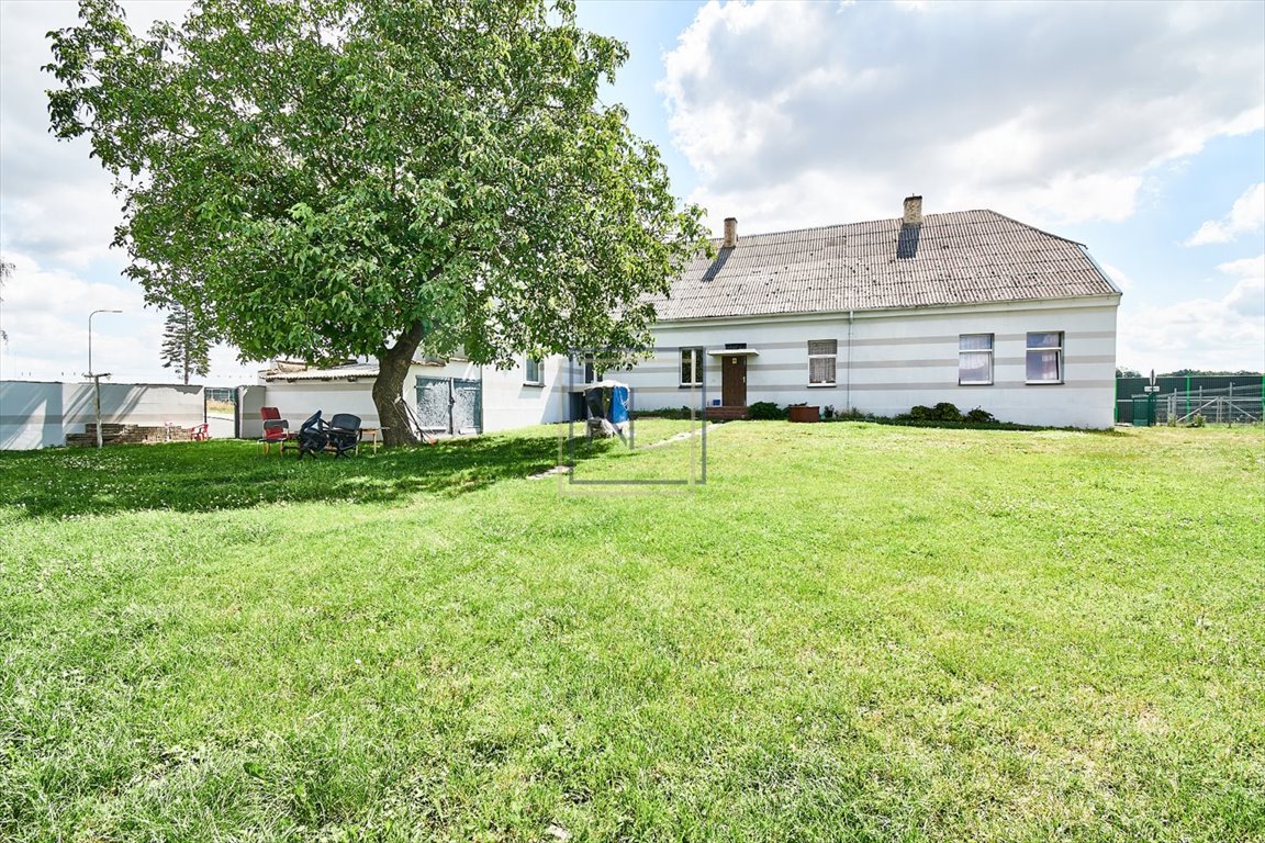 Siedlisko z potencjałem pod agroturystykę, 350 m2, działka 16 600 m2 Niewieścin, Niewieścin  350m2 Foto 1