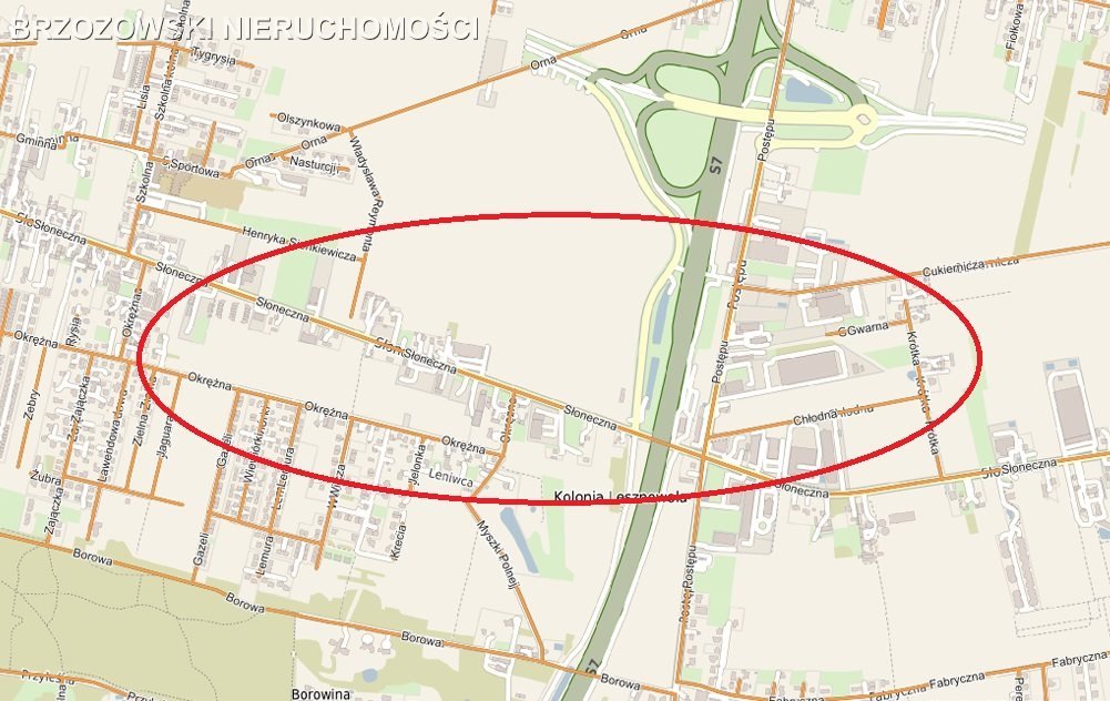 Działka inwestycyjna na sprzedaż Nowa Wola  9 900m2 Foto 1