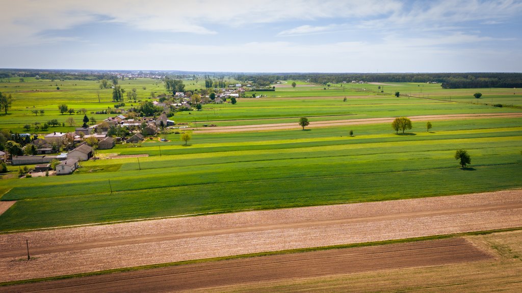 Działka inna na sprzedaż Uniejów  2 700m2 Foto 15