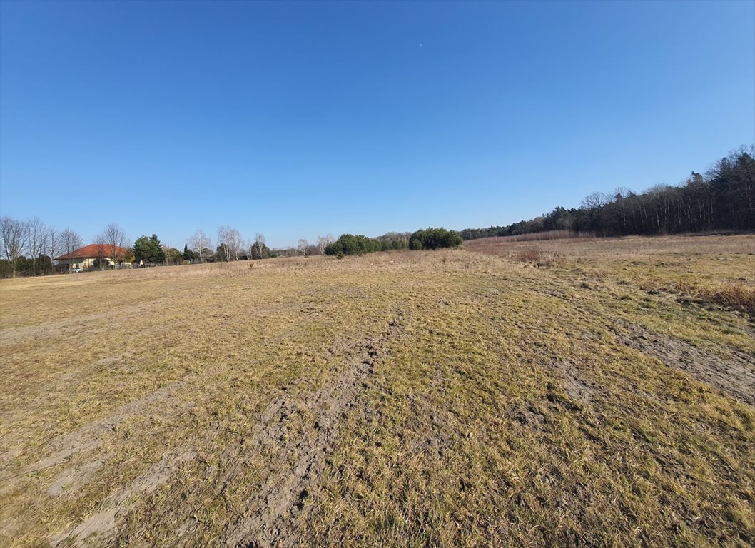 Działka budowlana na sprzedaż Łazy  1 000m2 Foto 1