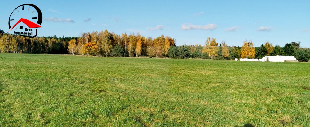 Działka gospodarstwo rolne na sprzedaż Gołąbki  138 960m2 Foto 12