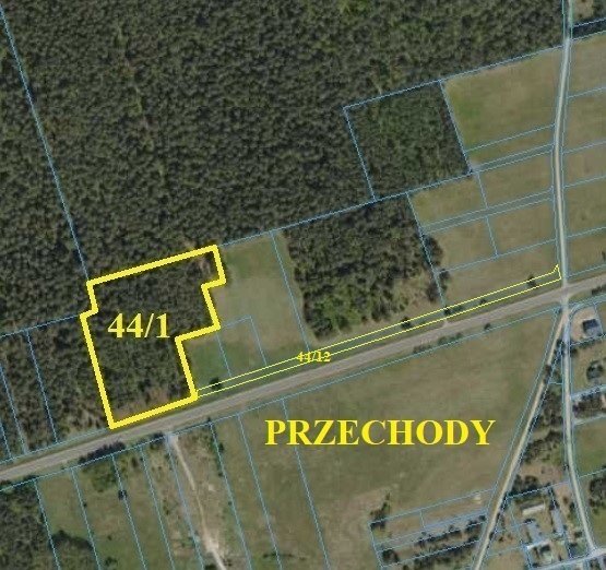 Działka leśna 17 153 m² w Przechodach - polecam!: Przechody