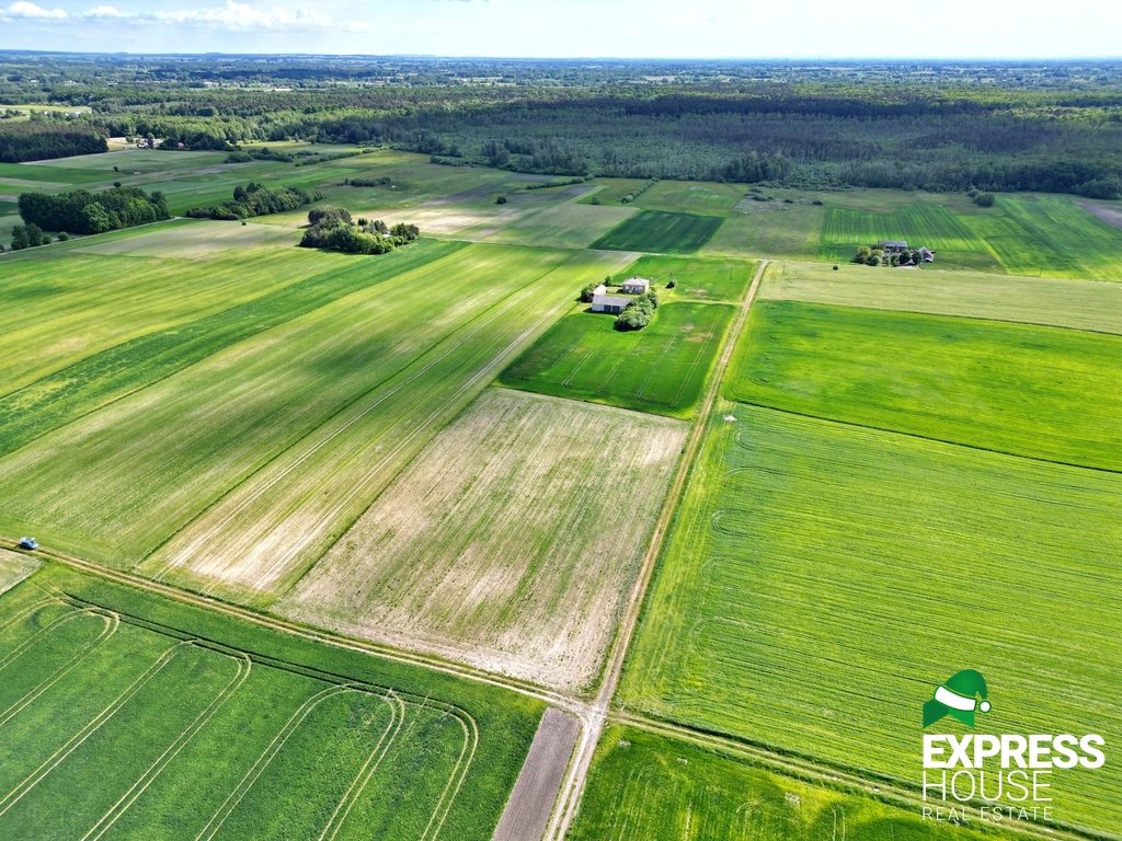 Działka rolna na sprzedaż Świerszczów  9 900m2 Foto 1