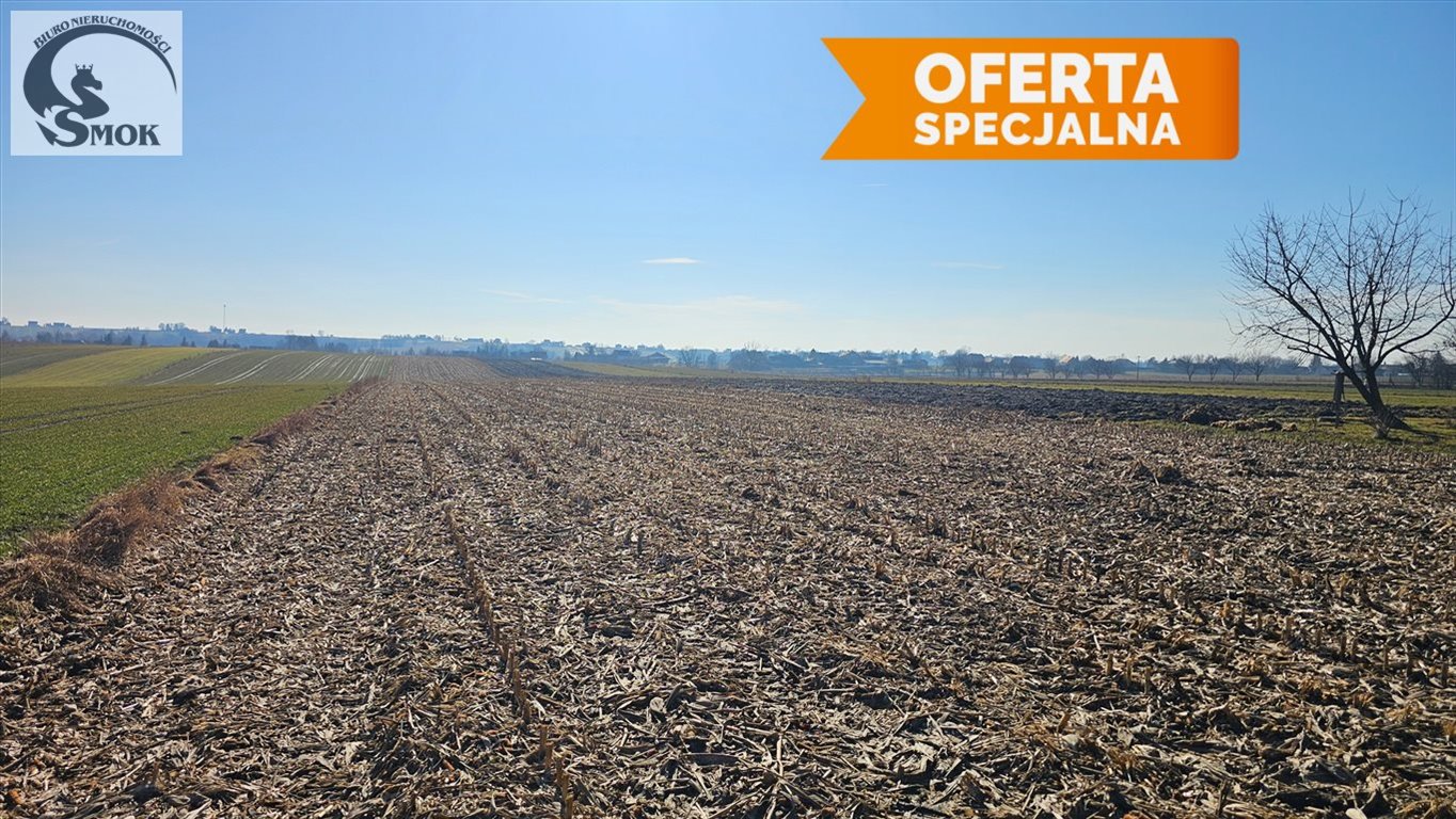 Działka 1,5 ha z zabudową i zielenią w Smrokowie Smroków  15 000m2 Foto 1