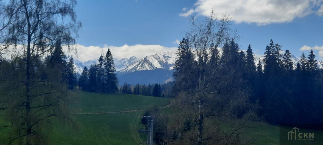 Działka budowlana na sprzedaż Bukowina Tatrzańska, Tatrzańska  4 300m2 Foto 4