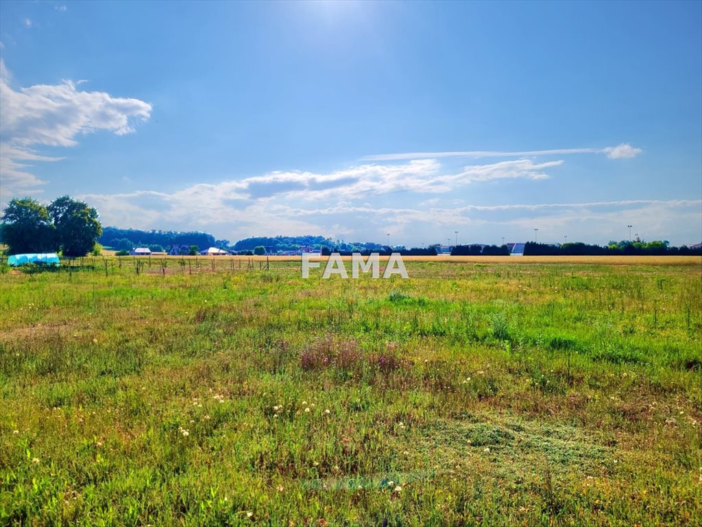 Działka budowlana na sprzedaż Baruchowo  1 000m2 Foto 8