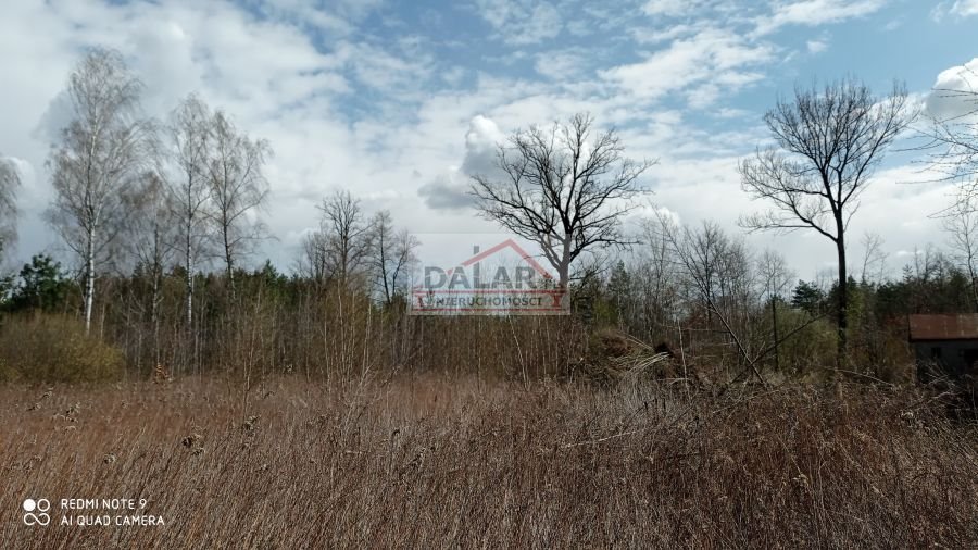 Działka budowlana na sprzedaż Nowe Grobice  3 500m2 Foto 16