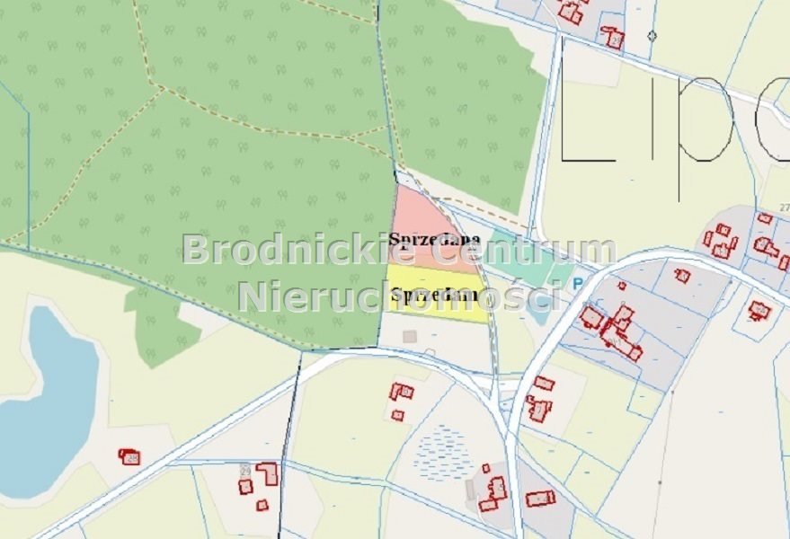 Zdjęcie 6