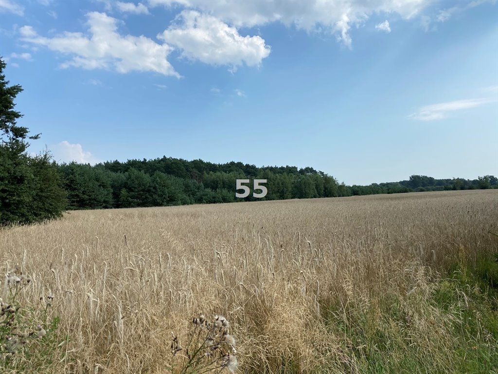 Działka inna na sprzedaż Stary Adamów  48 000m2 Foto 2