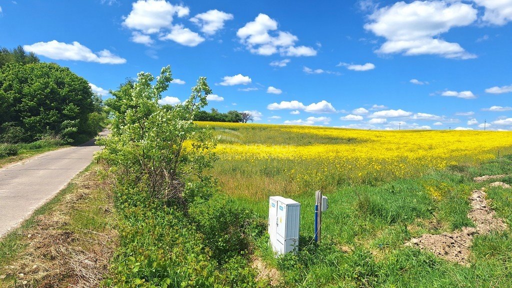 Działka budowlana na sprzedaż Krynice  1 524m2 Foto 7