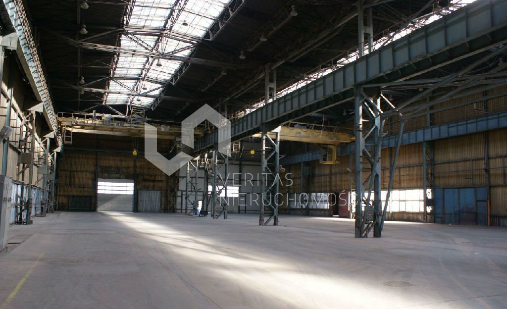 Lokal użytkowy na sprzedaż Łojki 6 000m2 Foto 1 Lokal użytkowy na sprzedaż Łojki 6 000m2 Foto 1
