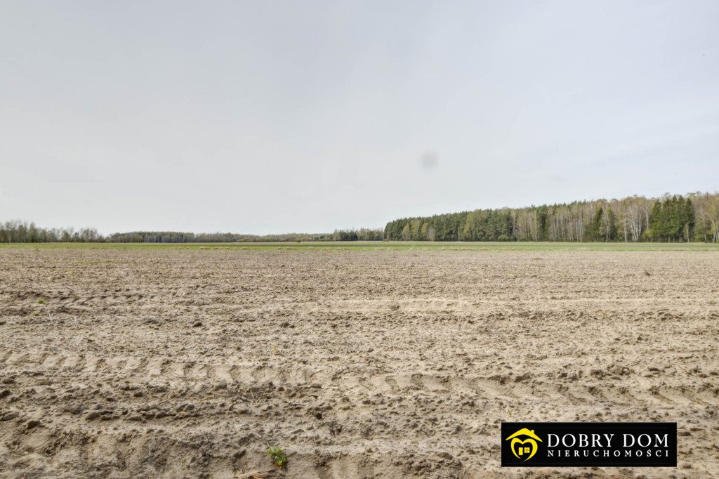 Działka rolna 20 000 m² z dobrym dojazdem i klasy ziemi Gregorowce  20 000m2 Foto 1