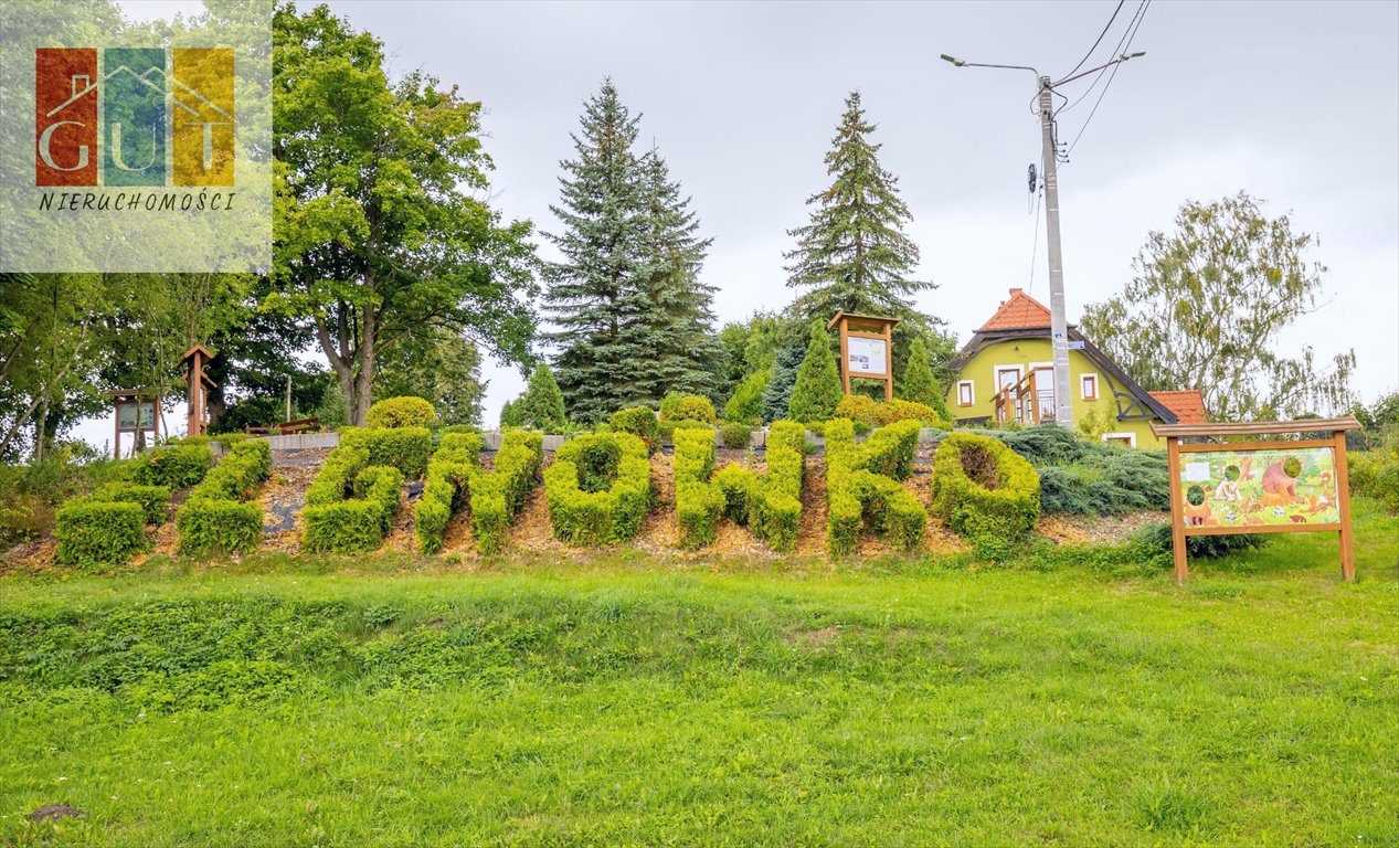 Działka budowlana na sprzedaż Elgnówko  3 190m2 Foto 11