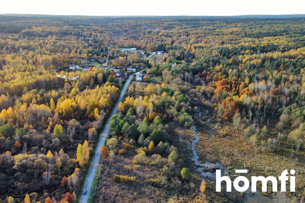 Działka inna na sprzedaż Rusinów  9 100m2 Foto 4