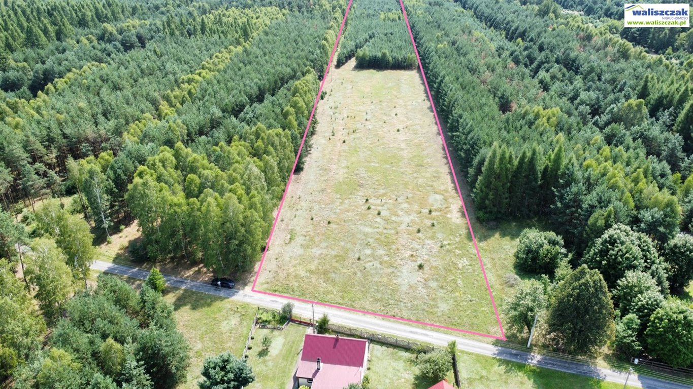 Na sprzedaż działka 2,55ha z mediami, las i pola Tomawa  25 500m2 Foto 1