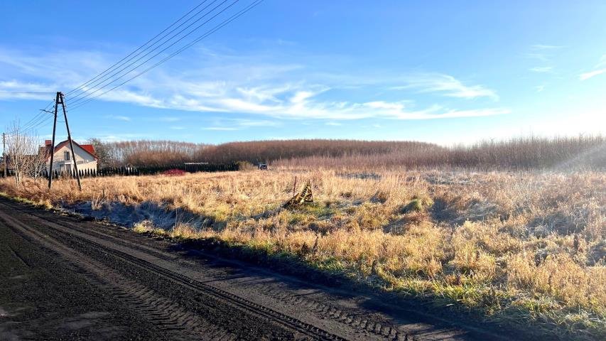 Działka budowlana na sprzedaż Czernin, Czernin  2 692m2 Foto 13