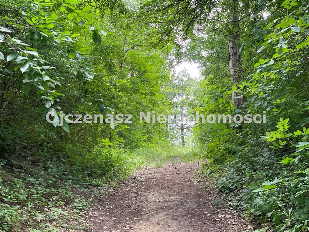 Działka inna na sprzedaż Prosperowo  360m2 Foto 10