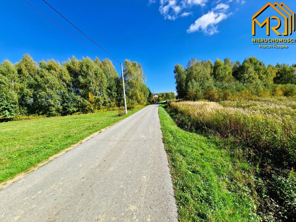 Działka inna na sprzedaż Łęki Górne  7 000m2 Foto 13