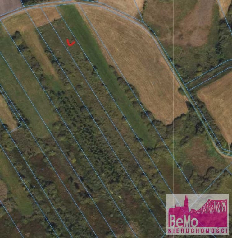 Działki rolne w Wólce, od 0,48 ha, media w drodze Skępe, Wólka  5 800m2 Foto 1