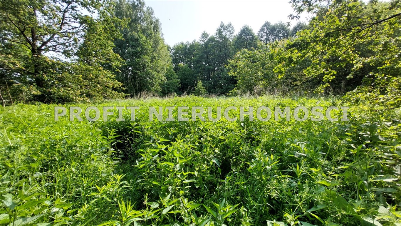 Działka 1722 m² pod dom lub inwestycję, media w ulicy Rąbień  1 722m2 Foto 1