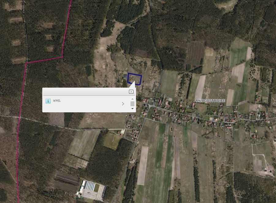 Sprzedam działkę 9 000 m² pod zabudowę w Miłogostowicach Miłogostowice, Miłogostowice  9 000m2 Foto 1