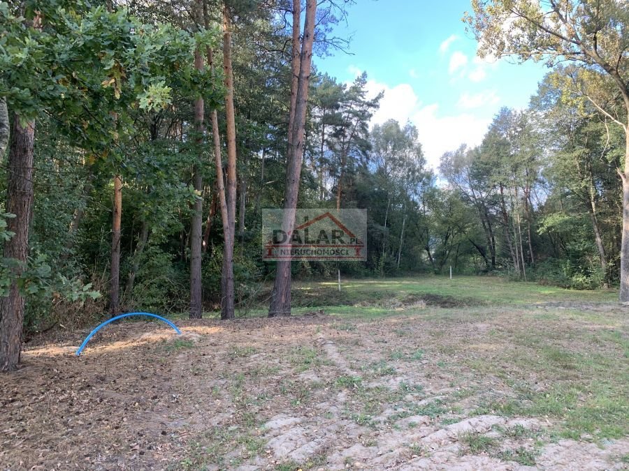 Zapraszam do obejrzenia malowniczej działki 3500 m² z warunkami zabudowy Linin  3 500m2 Foto 1