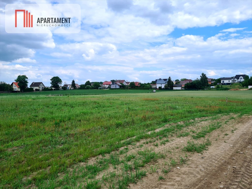 Działka przemysłowo-handlowa na sprzedaż Wielki Klincz  1 500m2 Foto 5