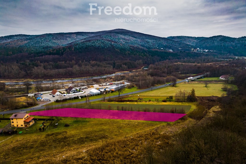 Działka komercyjna na sprzedaż Gorzeń Górny  3 867m2 Foto 4