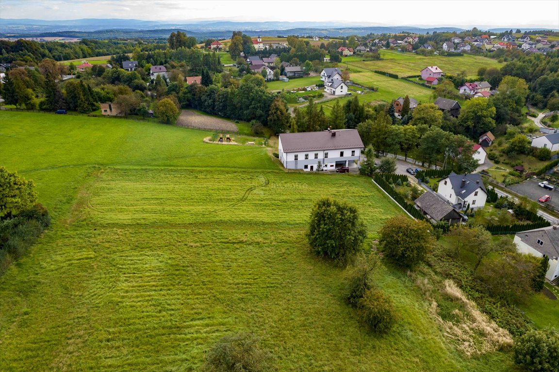 Działka budowlana na sprzedaż Sanka  3 700m2 Foto 3